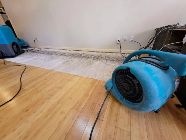 Professional Sewage Cleanup technician working in Festus, MO